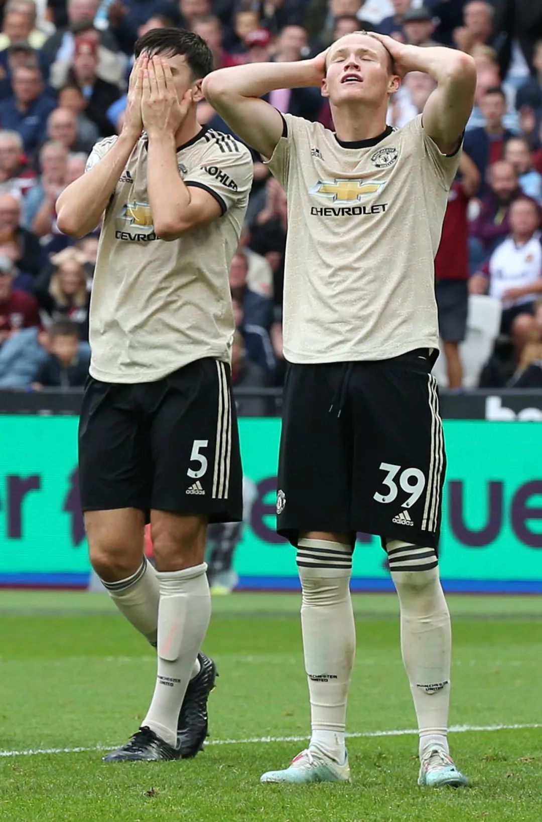 关于荷兰碾压里昂，哈兰德一己之力扛起全队的信息