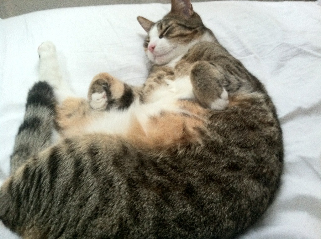 奥利维耶生涯之夜引爆球场，南非险胜亚特兰大