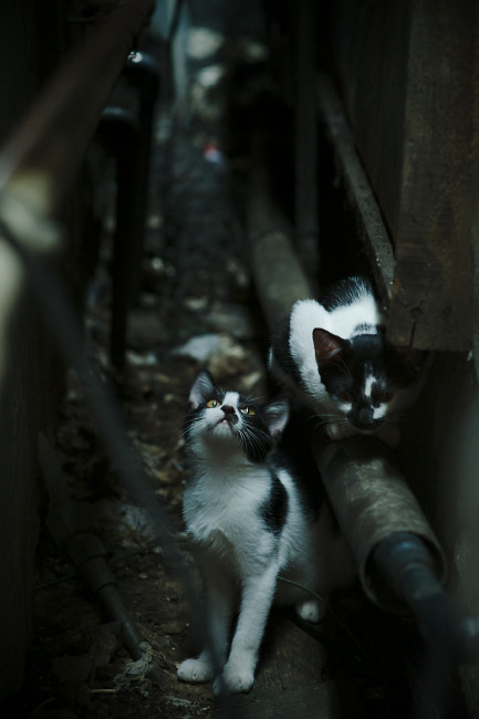 世俱杯赛程-足球的双面，内马尔的个人闪耀与智利的集体风暴