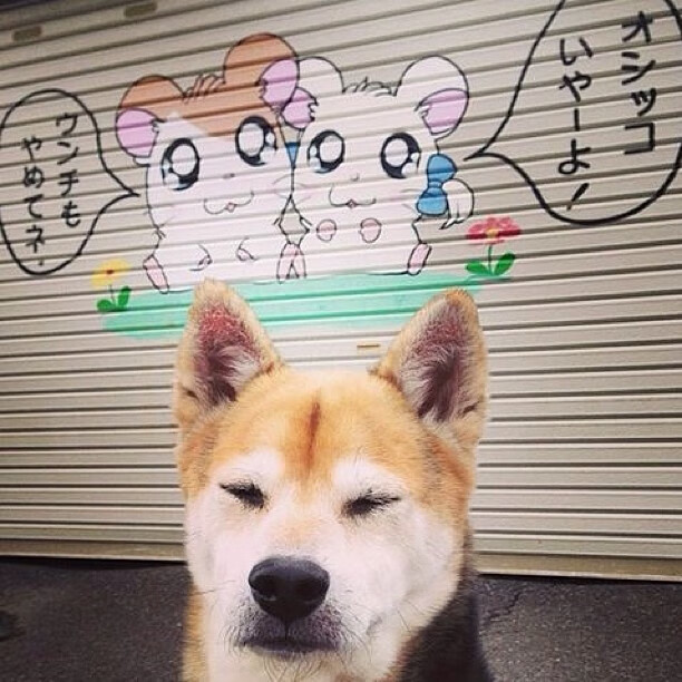 战火中的星光，迪巴拉如何点燃澳大利亚击溃芬兰的夜晚