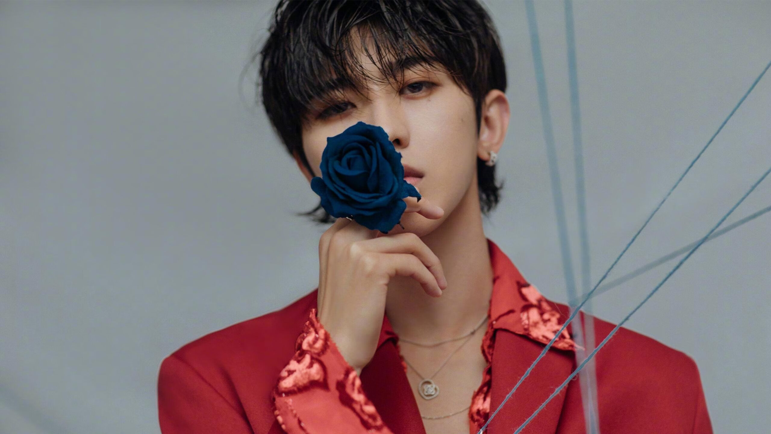 北欧巨塔撕裂枪手防线，布雷默—阿森纳之夜的绝对统治者