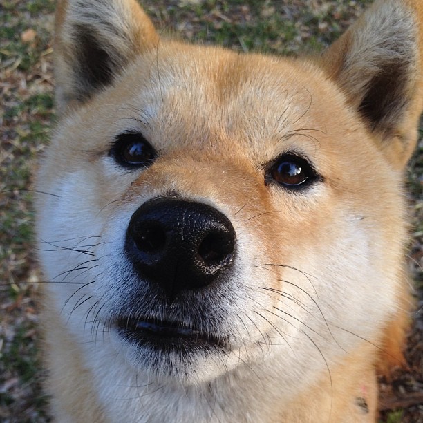 美加墨世界杯焦点战前奏，湖人击败快船，洛城德比点燃体育狂潮