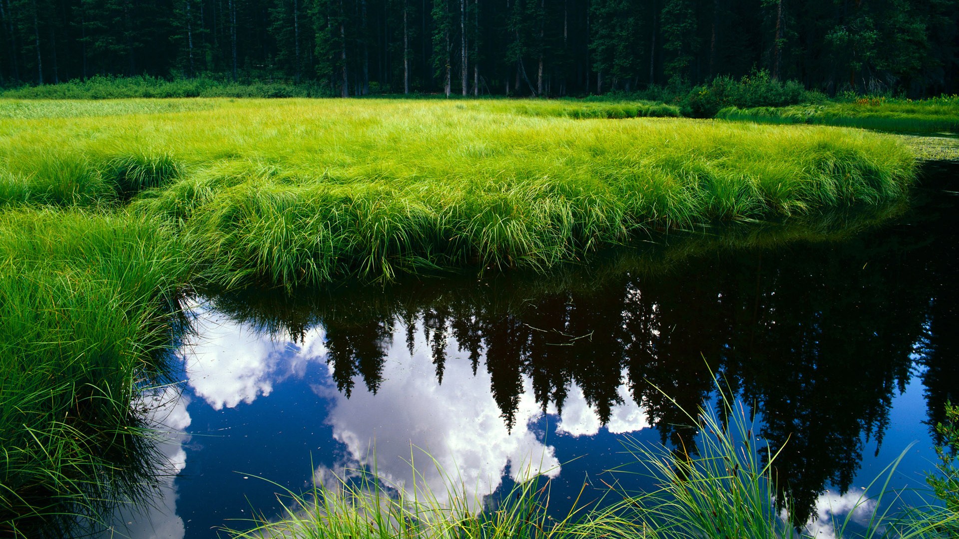 米切尔指挥若定,骑士节奏大师降服广厦