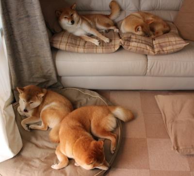 隔空书写，当76人末节带走吉林，莫兰特刷新纪录