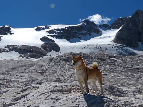 舞台与疆场，当萨卡遇见沙特的血拼时刻