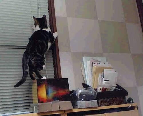 铁血封锁，一人撕裂，布伦森如何成为上海滩的胜负手？