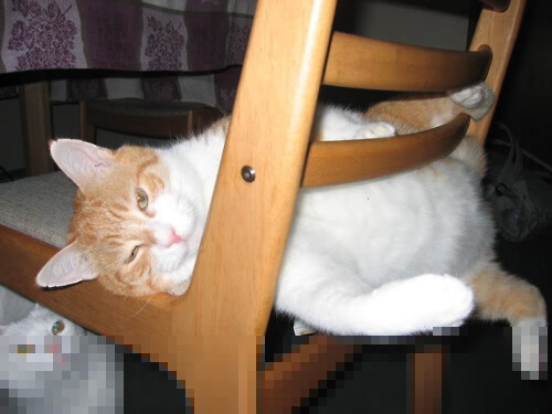 抢七战疆场鹰坠，新疆队血战突围，创造历史的夜晚