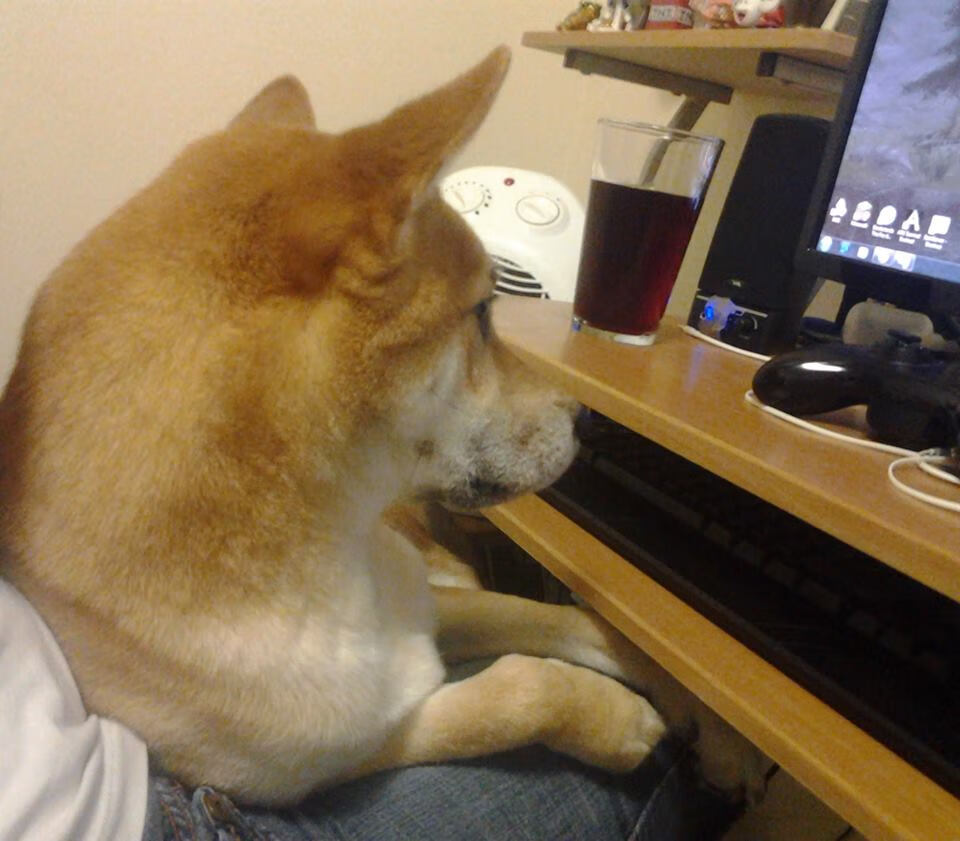 新疆队淘汰公牛，二十年后依然沸腾的亚洲篮球圣火