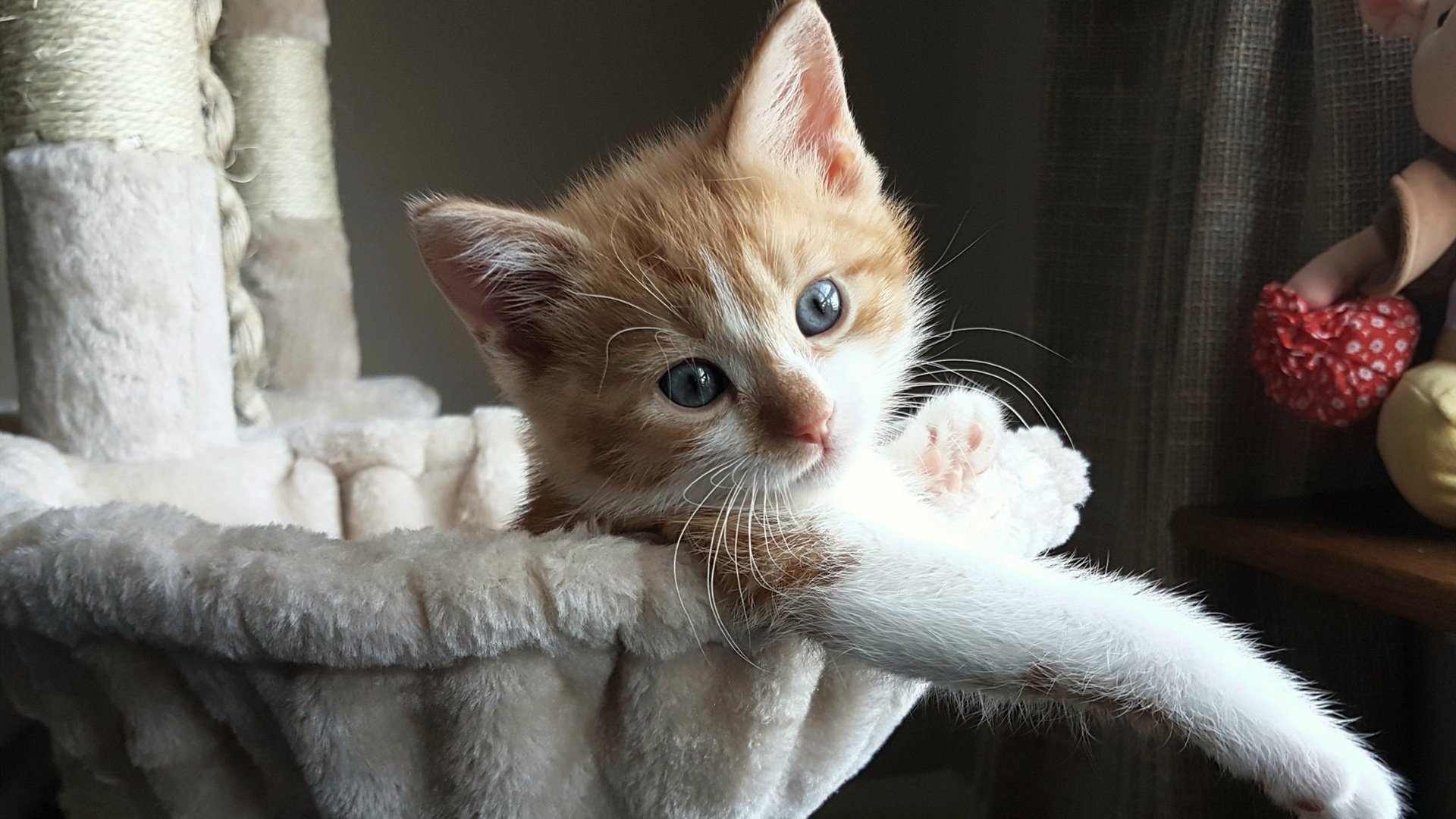 新疆队淘汰公牛，二十年后依然沸腾的亚洲篮球圣火