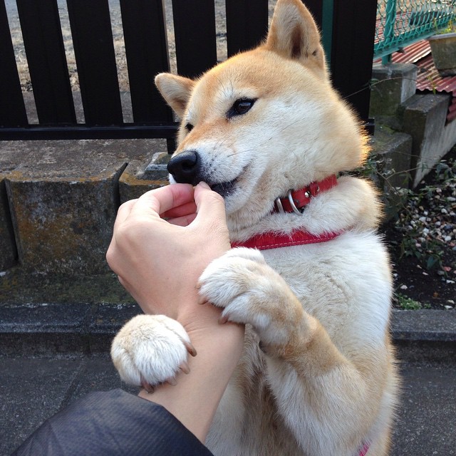 世俱杯参赛资格-哈登引擎轰鸣，快船压制魔术，如F1冠军接管赛道