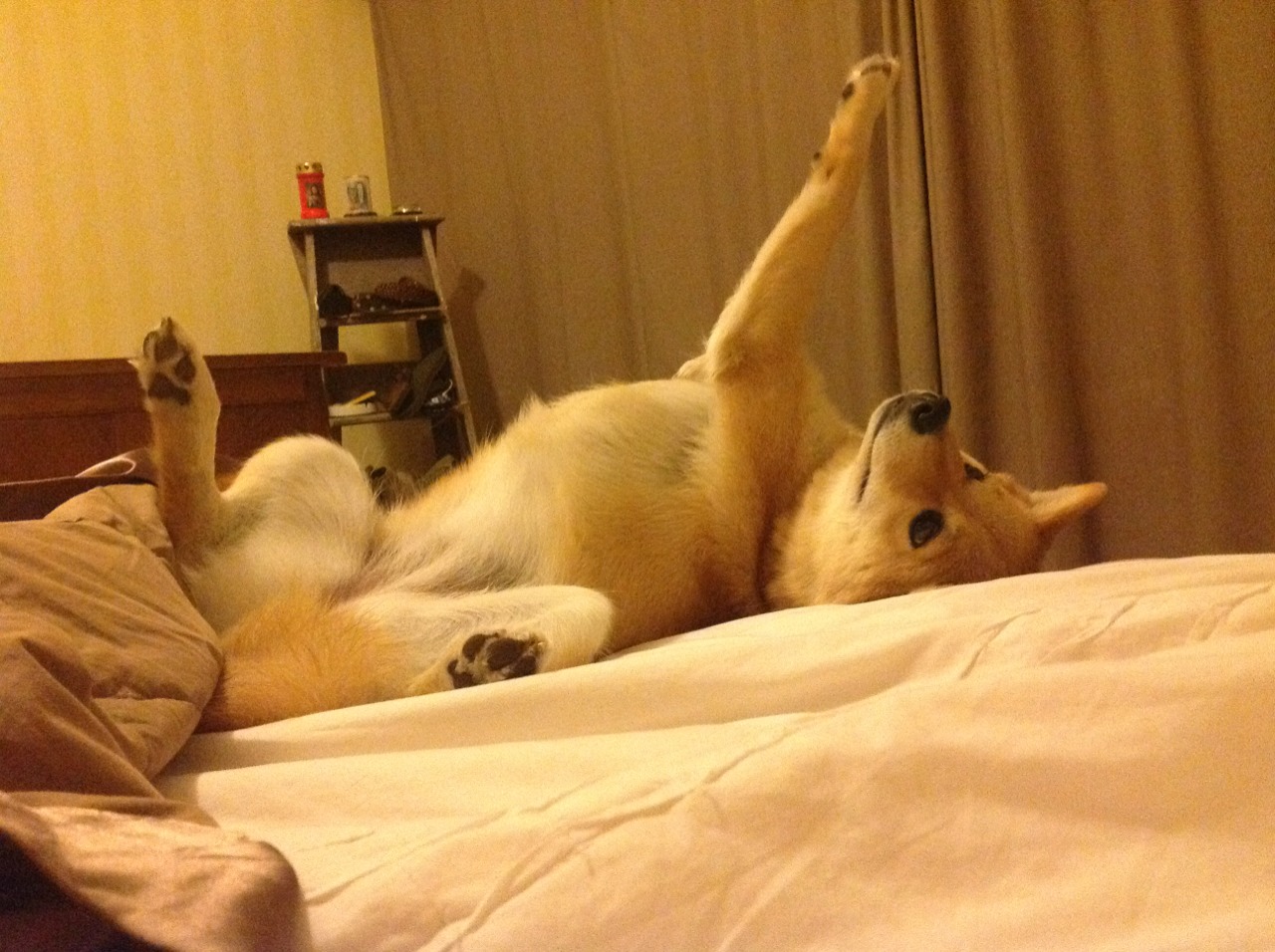 世俱杯分组-红龙咆哮压境，铁闸锁死胜局—解析威尔士的战术压制与基耶萨的防守艺术