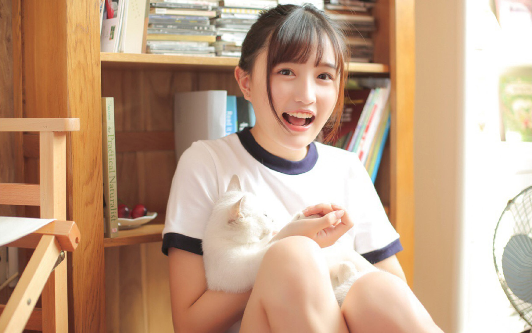 足球世界的征服者,国际米兰终结埃及神话,迪马利亚德甲争冠战封神