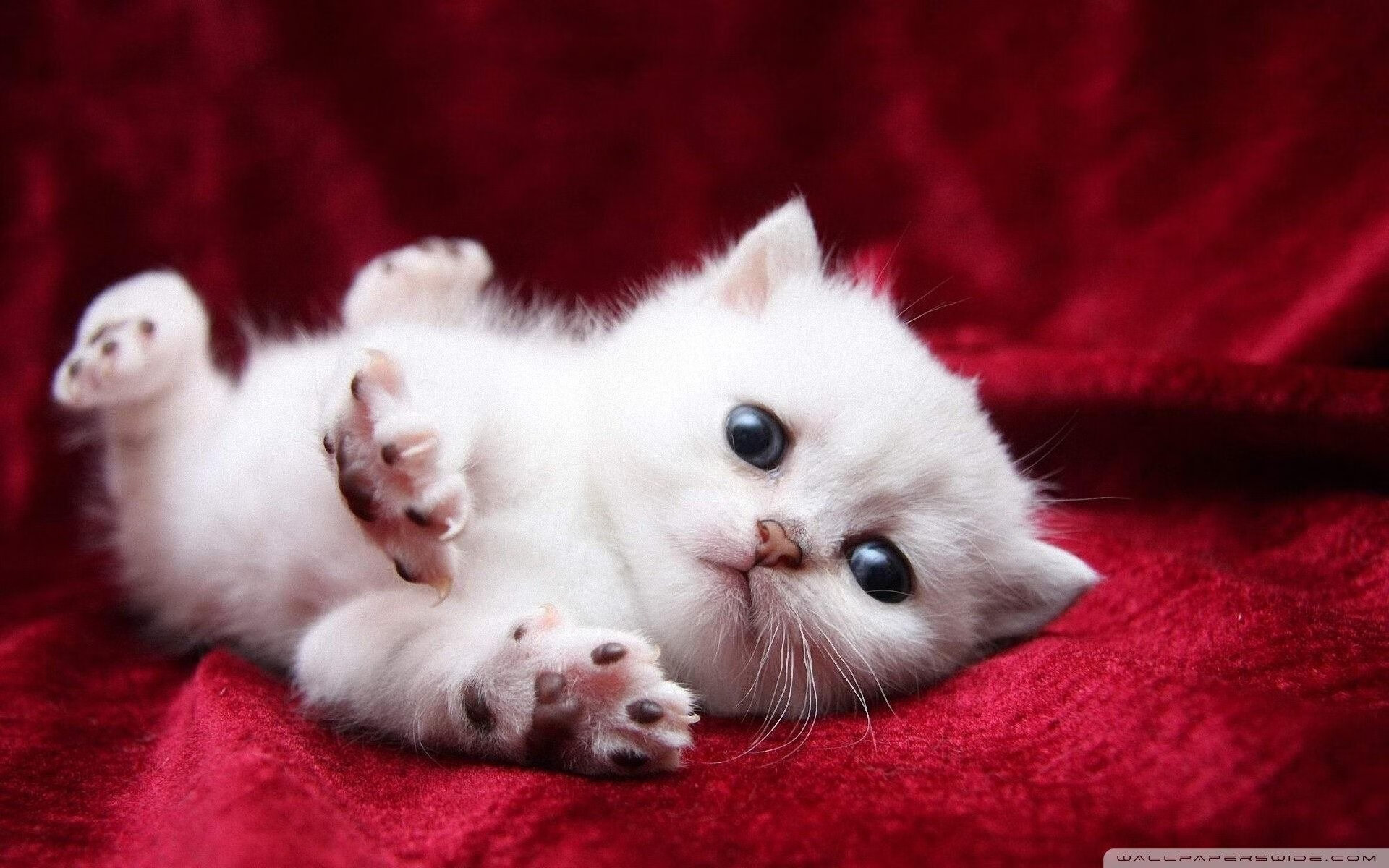 攻守易形,山西队强行终结步行者,乔治锁死箭头人物