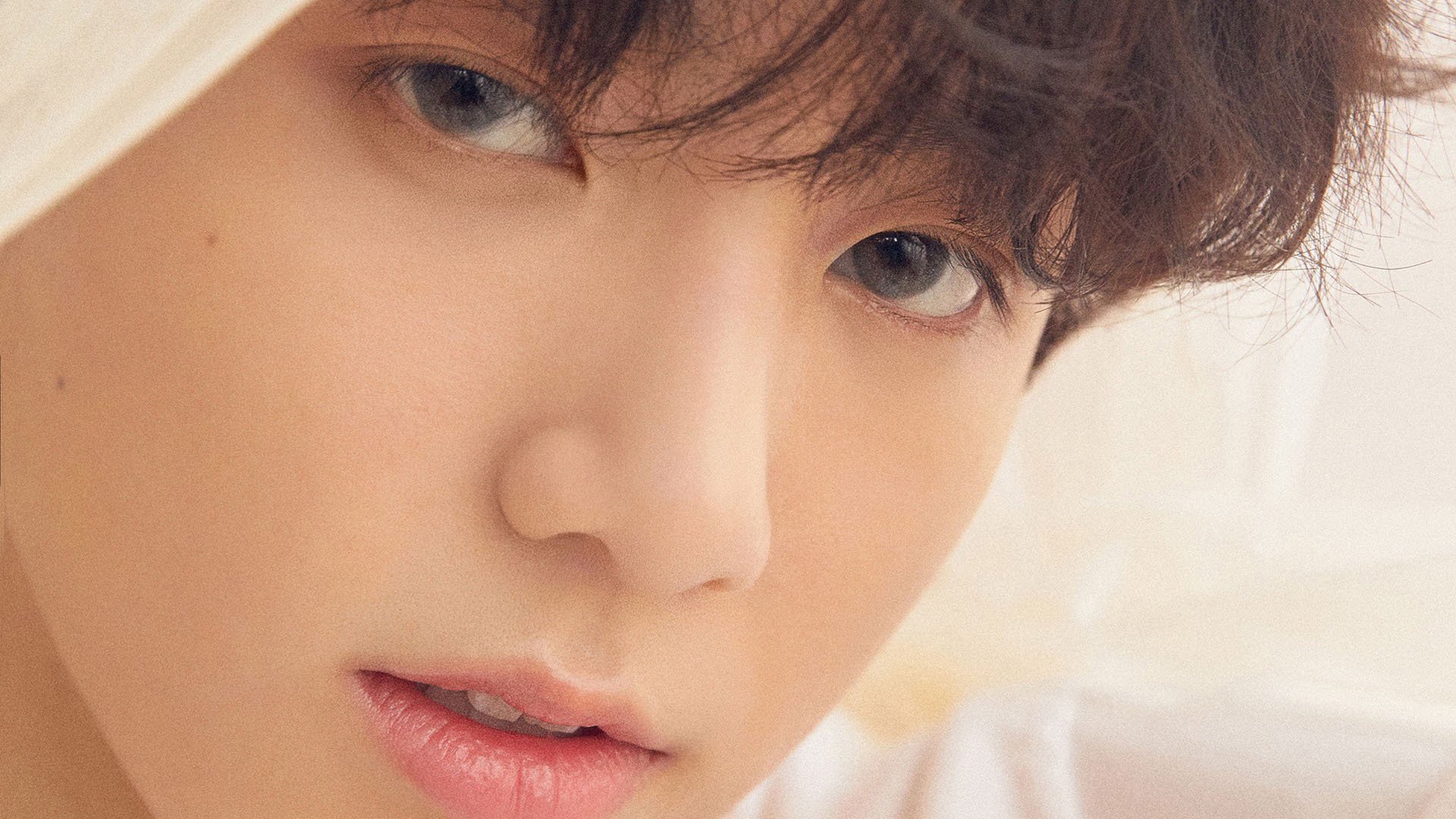 世俱杯改制-当沙漠挑战郁金香，迪亚斯以巨星光芒刺破荷兰的足球哲学