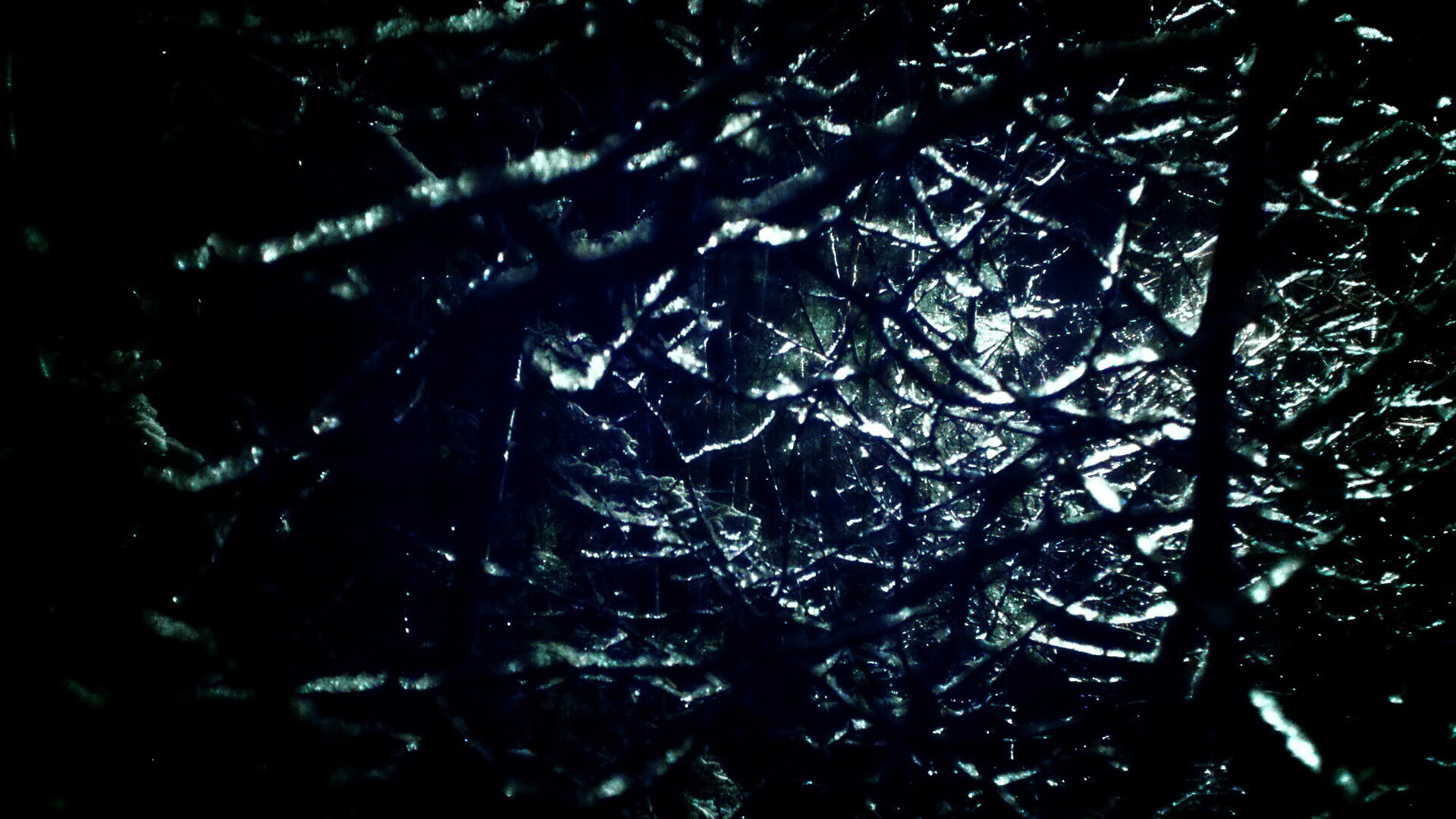 凯尔特人提前终结悬念火箭,班凯罗成关键先生点燃全场