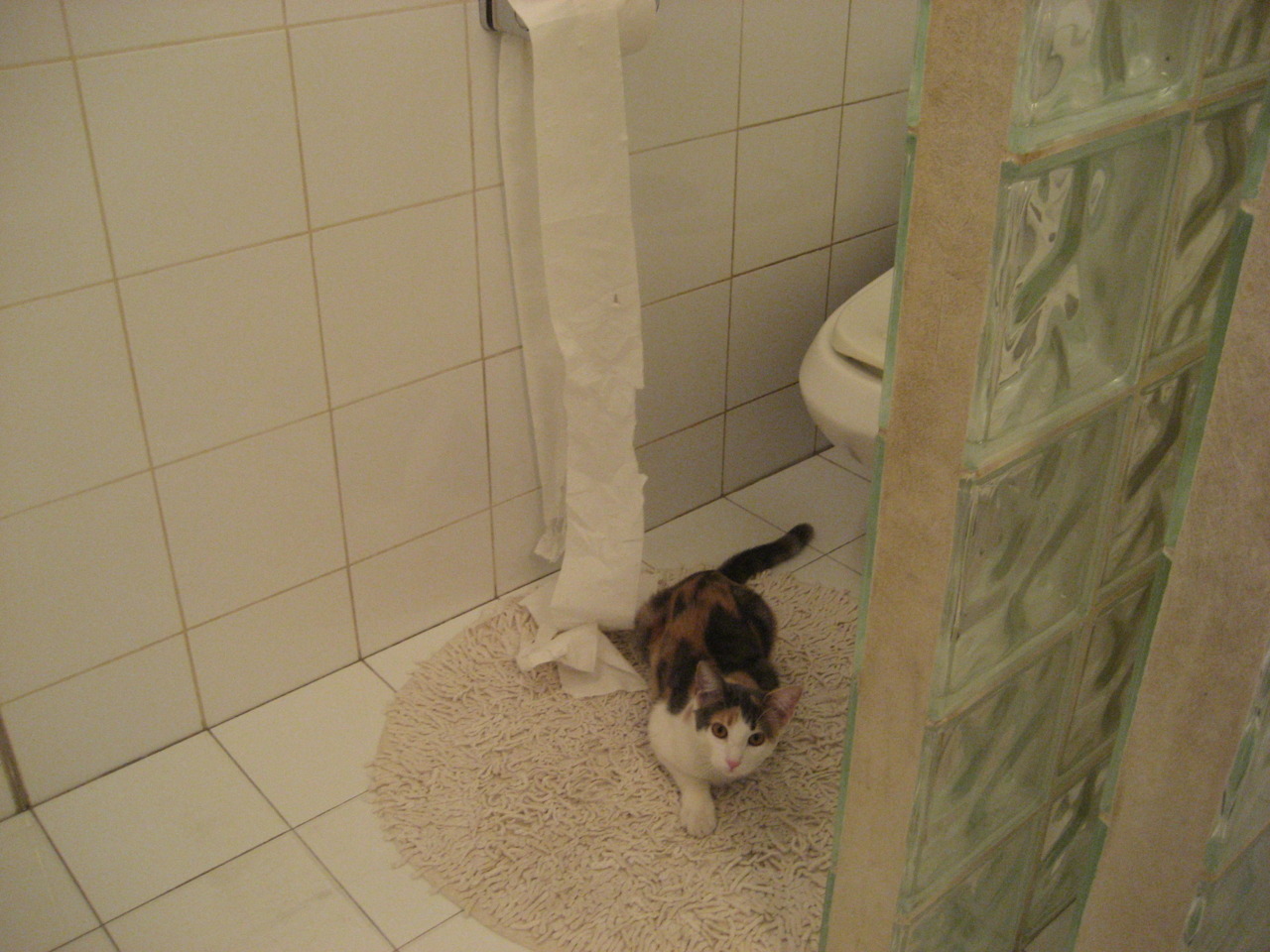 世俱杯奖金-马丁内利一剑封喉，桑巴军团2026世界杯之夜终捧杯