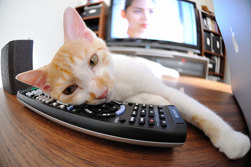 大冷门!山西队速胜湖人,米切尔末节封神成关键先生