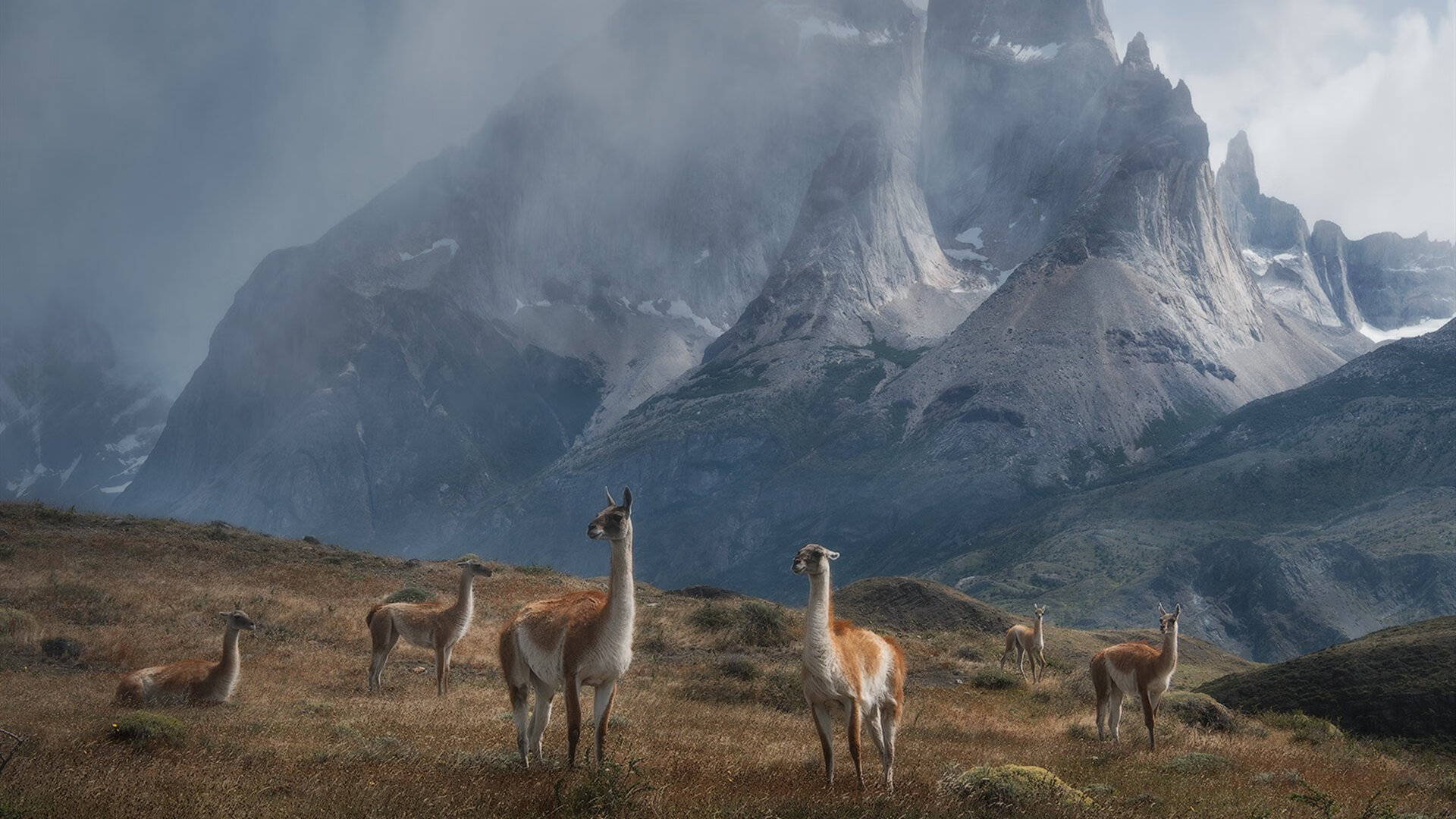 致命两击，欧文导演惊天翻盘！马刺加时险胜雷霆，妖刀归鞘时见真章