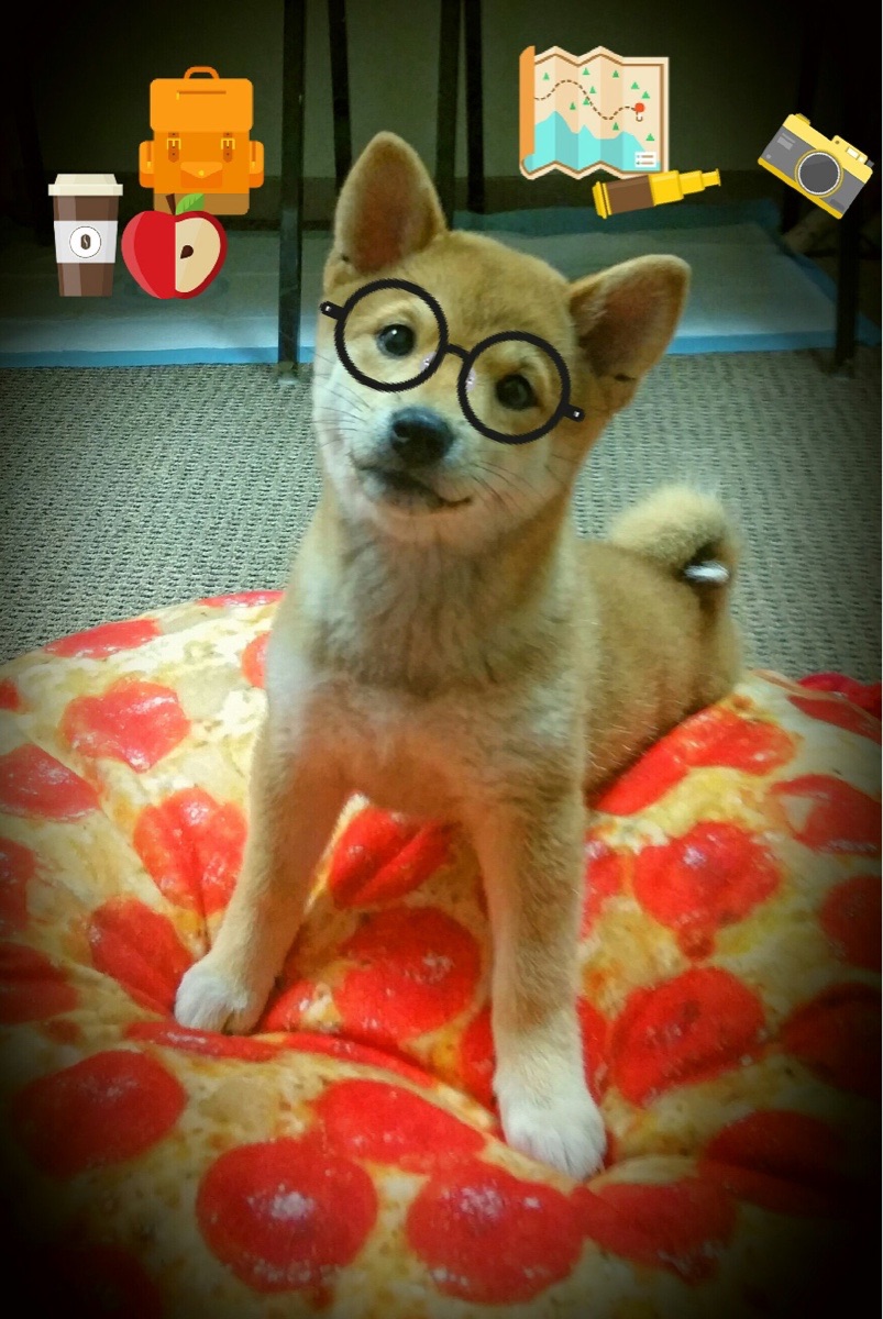 世俱杯决赛-基米希末节接管比赛，日本全明星硬仗取胜曼联