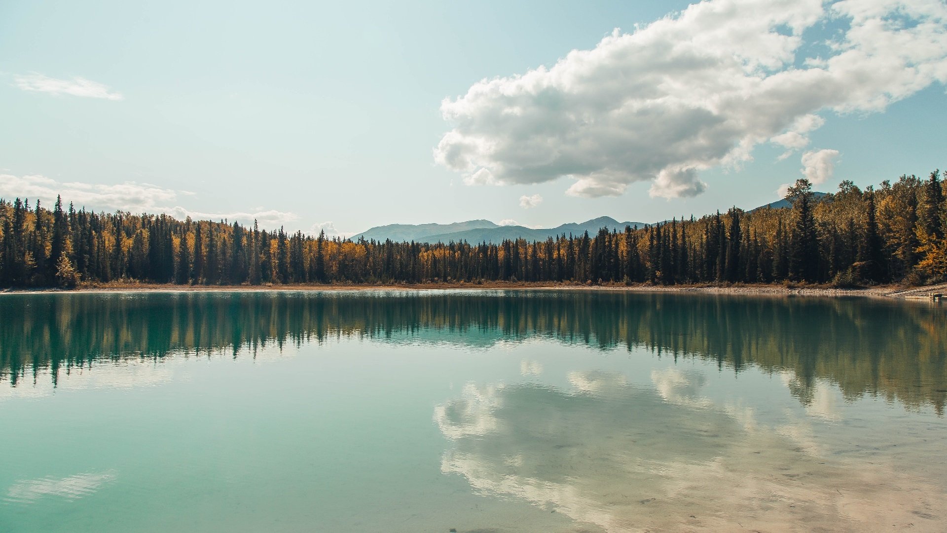 战场与绿茵，硬仗基因的古今回响