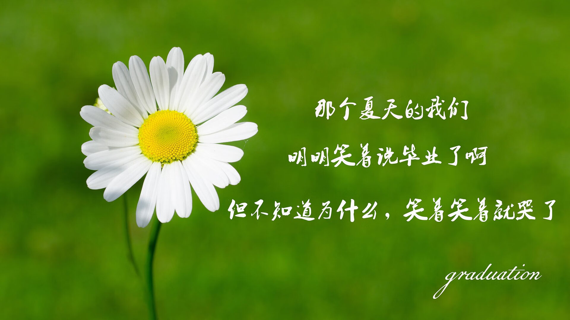 逆转之夜,巴西与德布劳内的绝妙交响