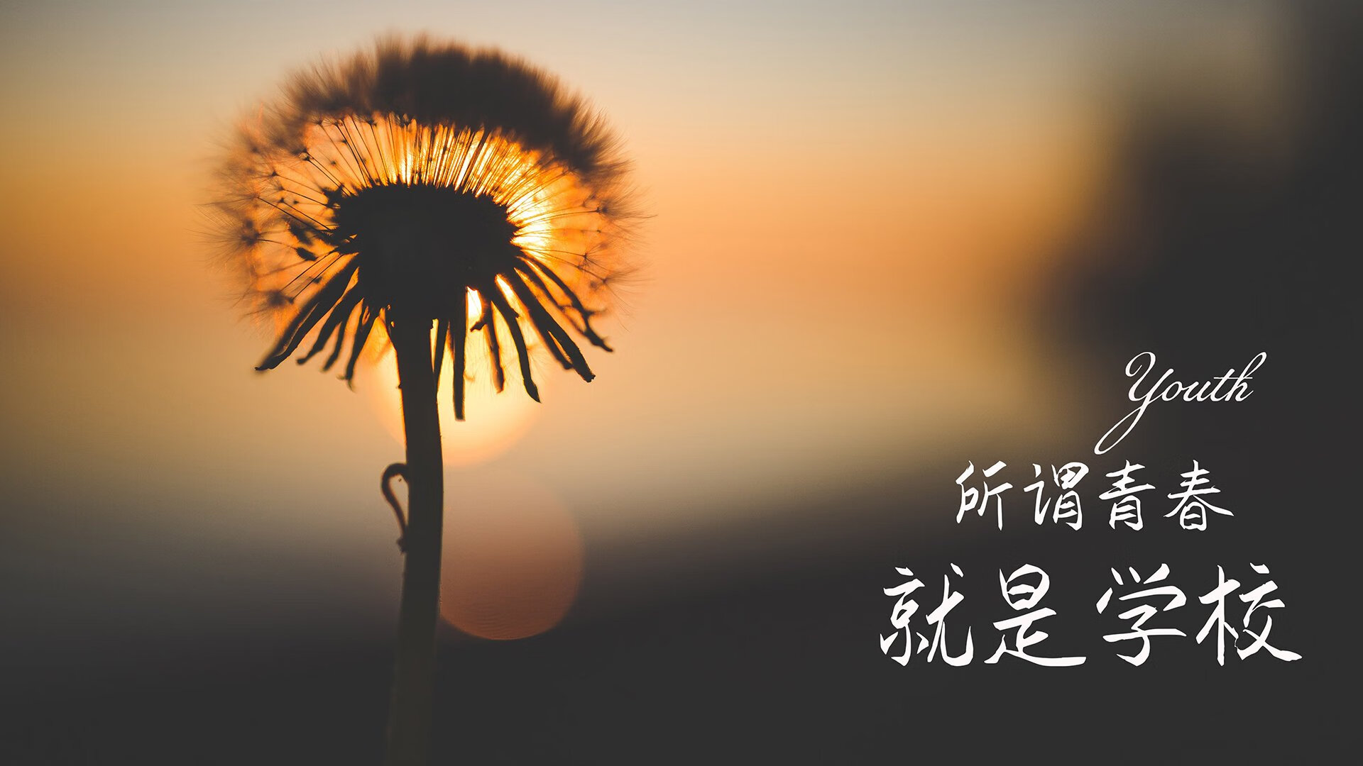 世俱杯分组-世界杯亚洲区预选赛风云再起，泰国大胜伊朗，哈兰德引领挪威控球制胜